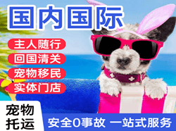 上海浦东到北京空运国际宠物托运 【国